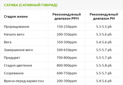 Сатива-сативный-гибрид__Y8Ry9B5LF27QDTJs.jpg