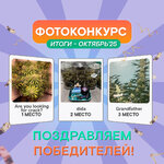 photo-october.jpg