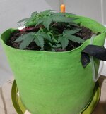 20260120_063404.jpg
