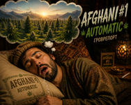 Afghani #1 Automatic