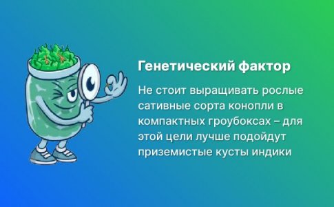 Генетика