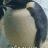Apogey